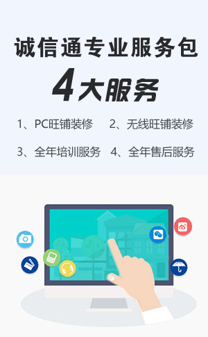 诚信通专业服务包